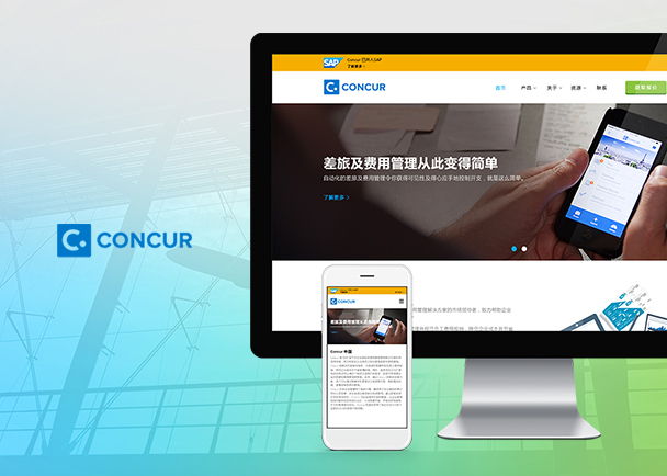 Concur的网站建设-Flow Asia